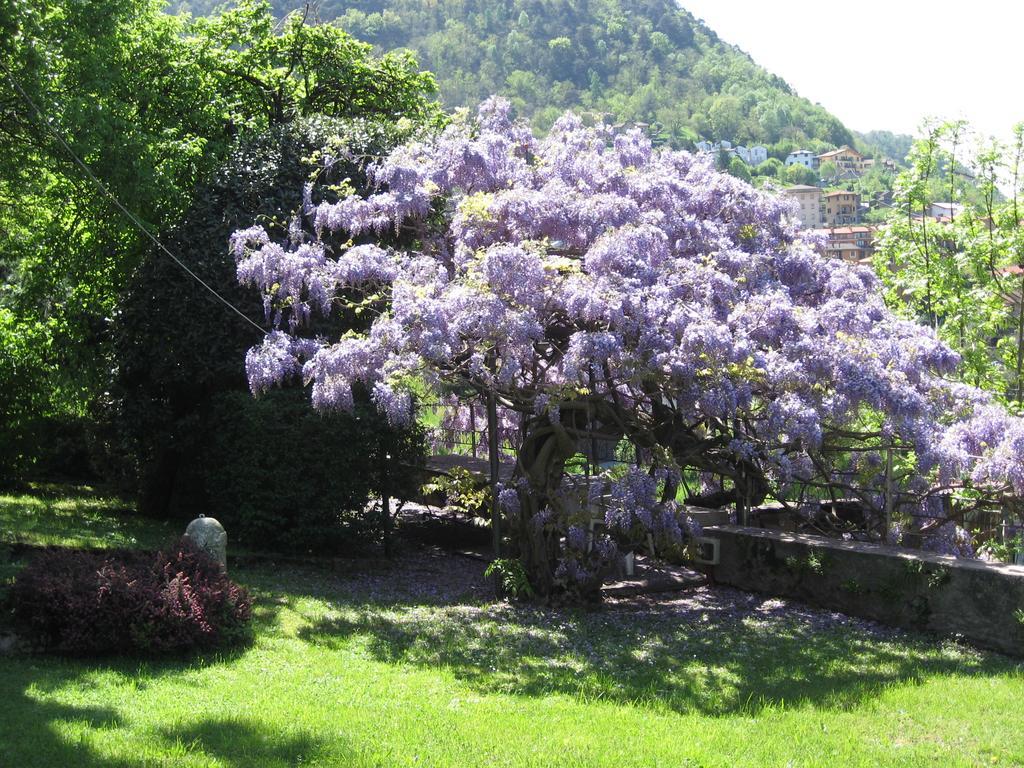 Casa Gibiseo Διαμέρισμα Bellano Εξωτερικό φωτογραφία
