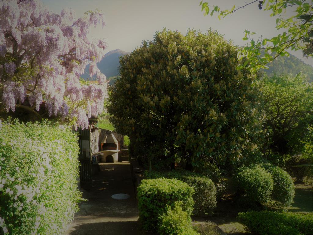 Casa Gibiseo Διαμέρισμα Bellano Εξωτερικό φωτογραφία